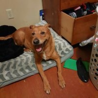 anderscrystal3 avatar