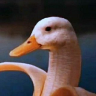 fresh.memes_80 avatar