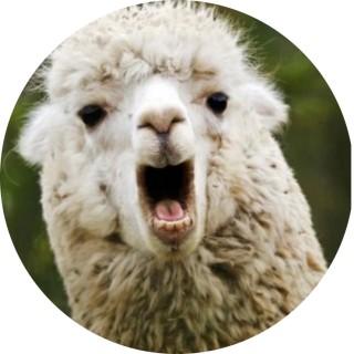 soft_pusheen13579 avatar