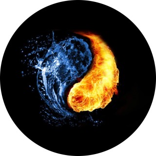 shelby_hansen avatar