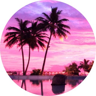 brookie_hahahaha avatar