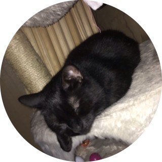 my_random_shit avatar