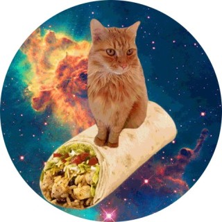 memes_memes_memes123 avatar