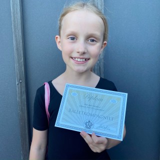 den-fantastiske avatar