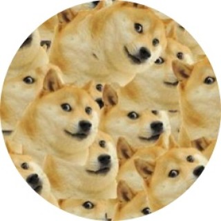 dani_memes123 avatar