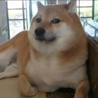 carlos.canales.lopez.808 avatar