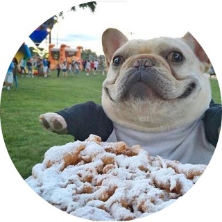 PUG_HAS_a_gun avatar