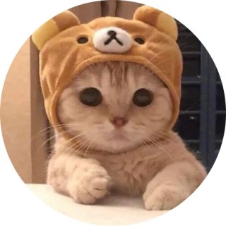 hai_mememaker avatar