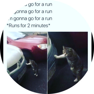 memes_for_days_boi avatar