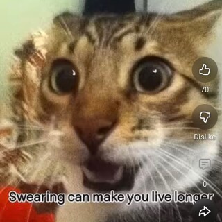 Cheatthesystem avatar