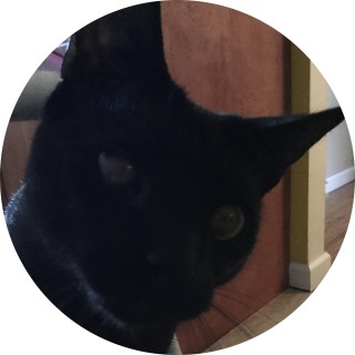 the_thicc_fricc avatar