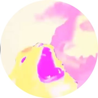 ch1ckennugg17 avatar