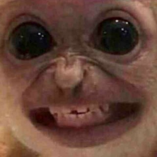 iliankata_sum_ avatar