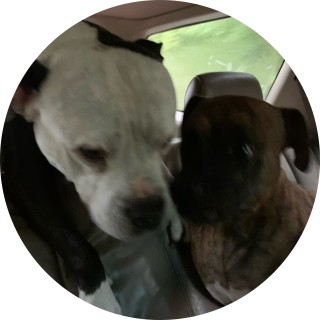 kenzeyandlilly avatar
