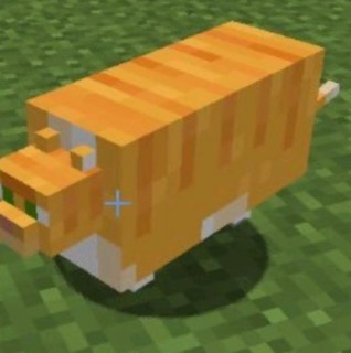 Pedro_yeet_boi avatar