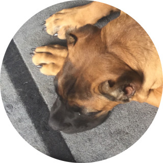 shfhrbdhshvhrneudgsb_bensjvhe avatar