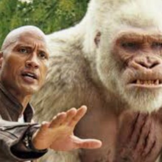 the_rock_monke avatar