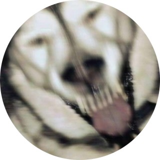 ToxicChaos333 avatar