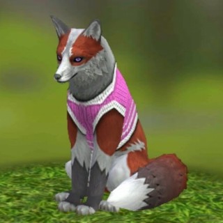 novathesnowfox avatar