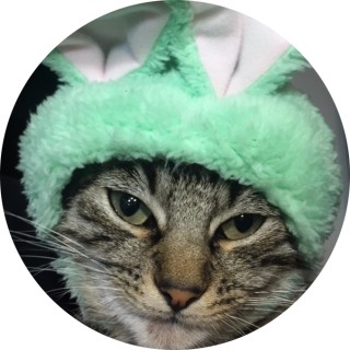 adrianzeboi323 avatar