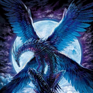 Tempestshadowplays avatar