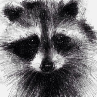 MemesAndSomeShit avatar