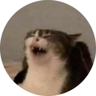 im_a_meme_factory_ avatar