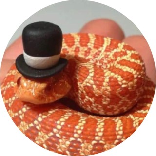 exquisite_snake avatar