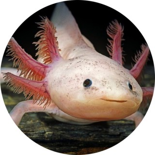 Therefore_zero avatar