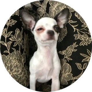 nonesurprise94 avatar