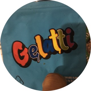 My_girlfriend_ avatar