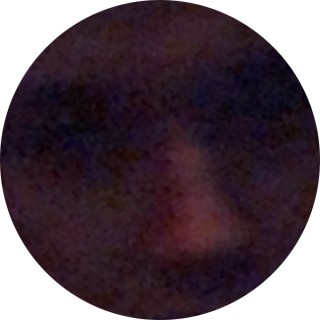 xxxxxxxnigga