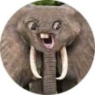 memecentral45 avatar