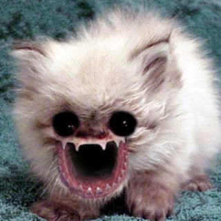 Sheeeeeeeesh20 avatar