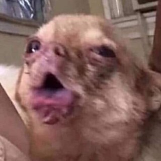 Johnny_johnny36 avatar