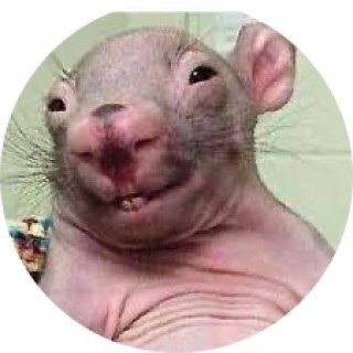 DankyStanky66 avatar