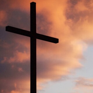 For Him