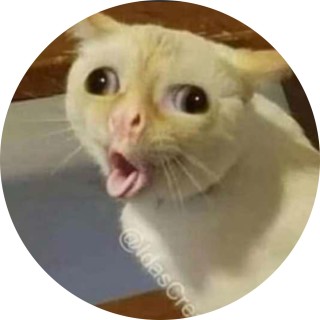 whatyalookingat avatar