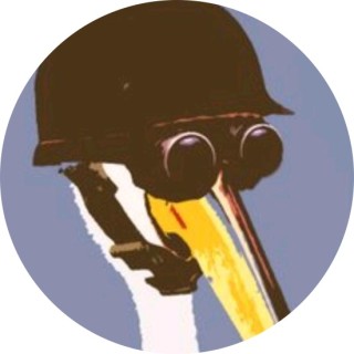 A_American_pelican avatar