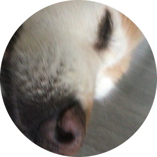 BILLYBOB_THE_GREAT avatar