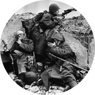 Bear_is_gonna_kill avatar