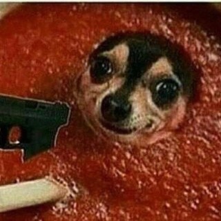 Shitmemes.com avatar