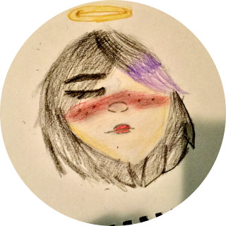 theidioticmemer avatar