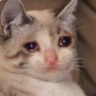 memes_24seven avatar