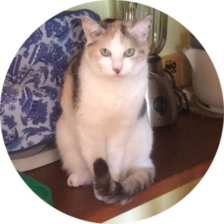 CoffeeMeister avatar