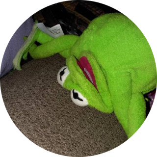 Kermitsmemes avatar