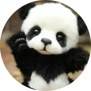chubby_panda avatar