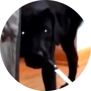 RNG_boyardee_kills avatar