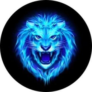 majestic_lion avatar