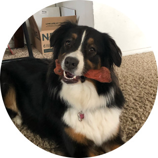 supergirlyrain07 avatar